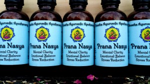 prana nasya