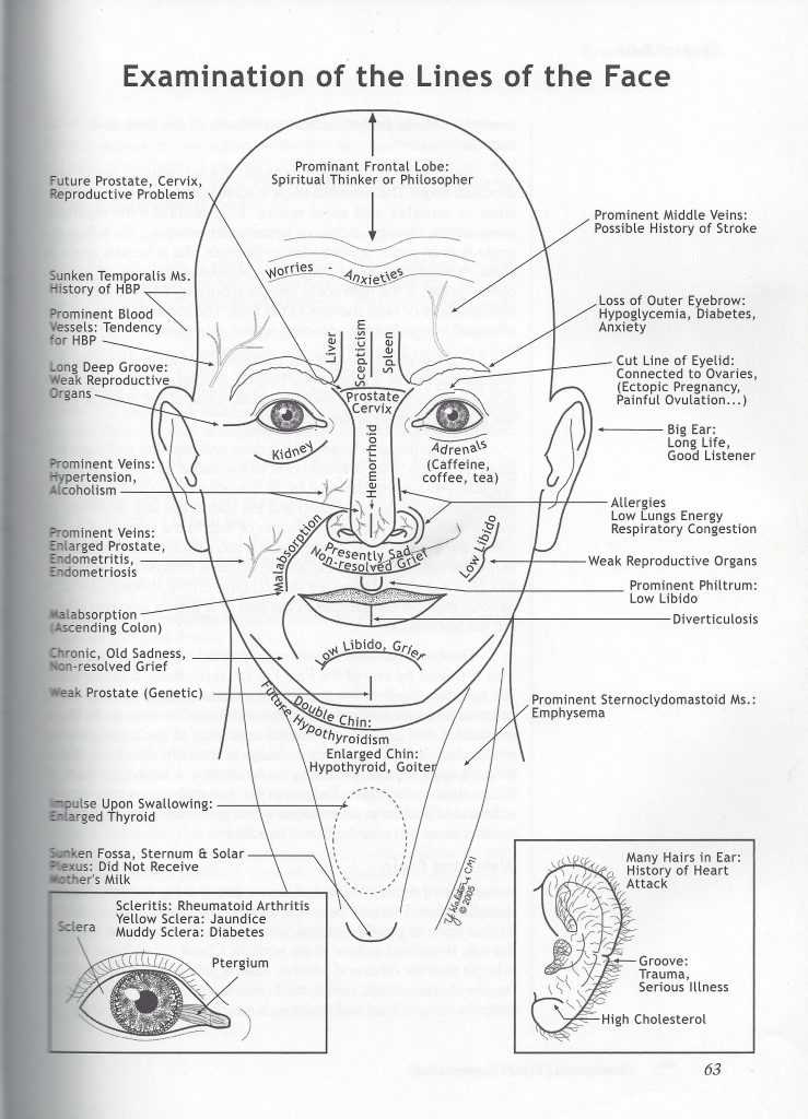 Ayurvedic Pulse Diagnosis Chart