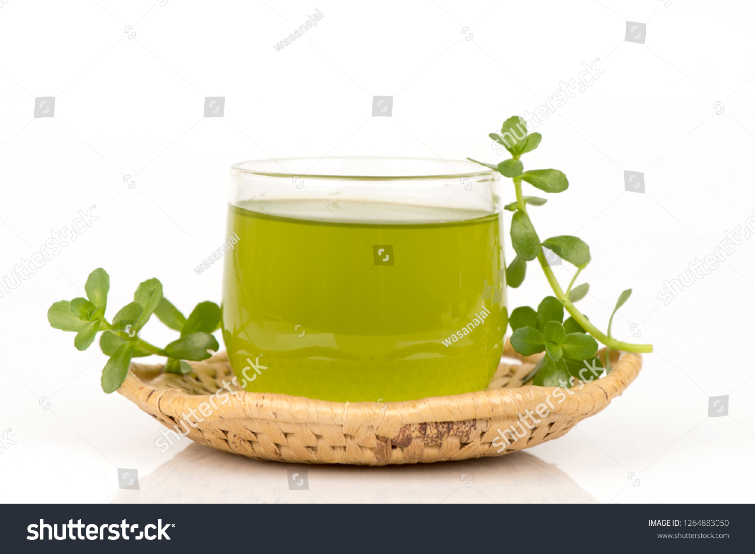 stock-photo-brahmi-green-leaves-have-medicinal-properties-bring-to-make ...