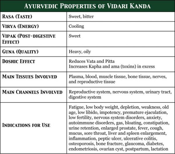 Vidari Kanda For Longevity, Rejuvenation, Strength, and Stamina Svastha Ayurveda